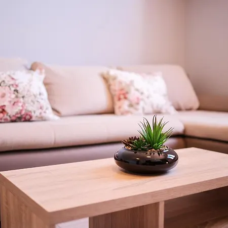 Appartement Ruza *