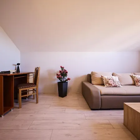 Apartment Ruza
