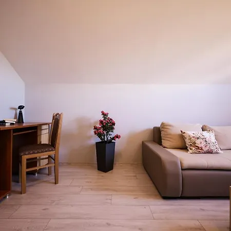 Apartment Ruza Sukosan